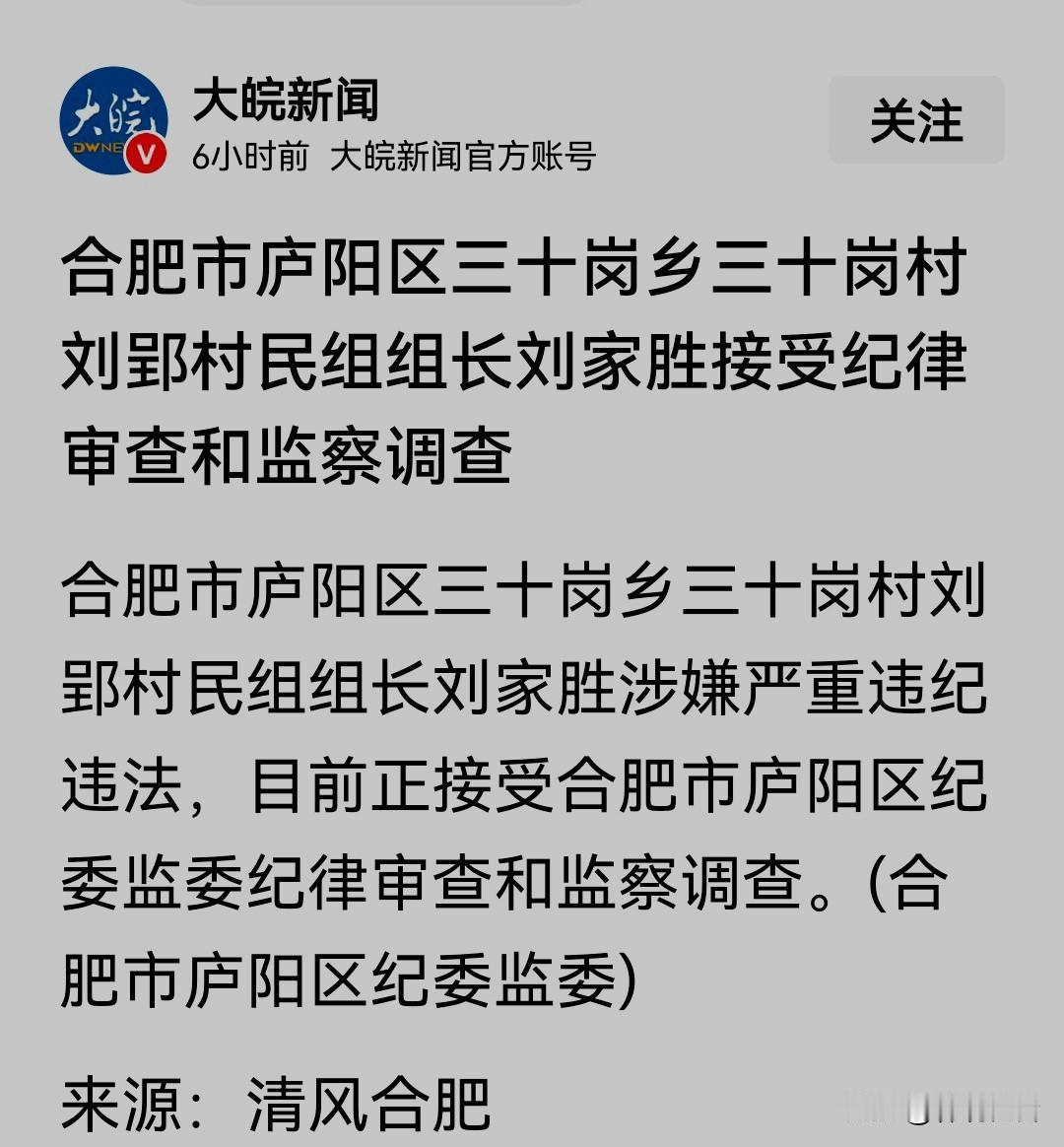 苍蝇老虎一起打！大皖新闻从清风合肥得来的消息：合肥市庐阳区三十岗乡三十岗村刘郢村