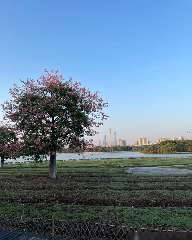 55岁退休妈直接拉黑儿子周末回家的微信，连半个字解释都懒得给！你别以为这是个