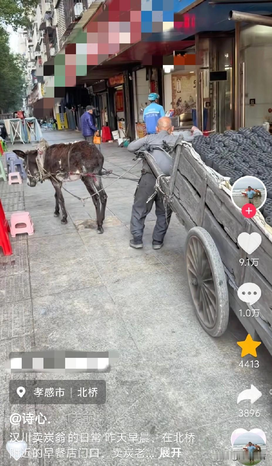 近日，湖北孝感，一名男子下班途中，路过一家早餐店，看到一位老大爷赶着驴车、拉着一