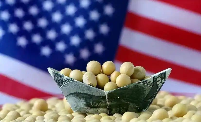 美国大豆为什么非得卖给中国？其实，从美国的角度来看，三年不向中国出口大豆，扩大国