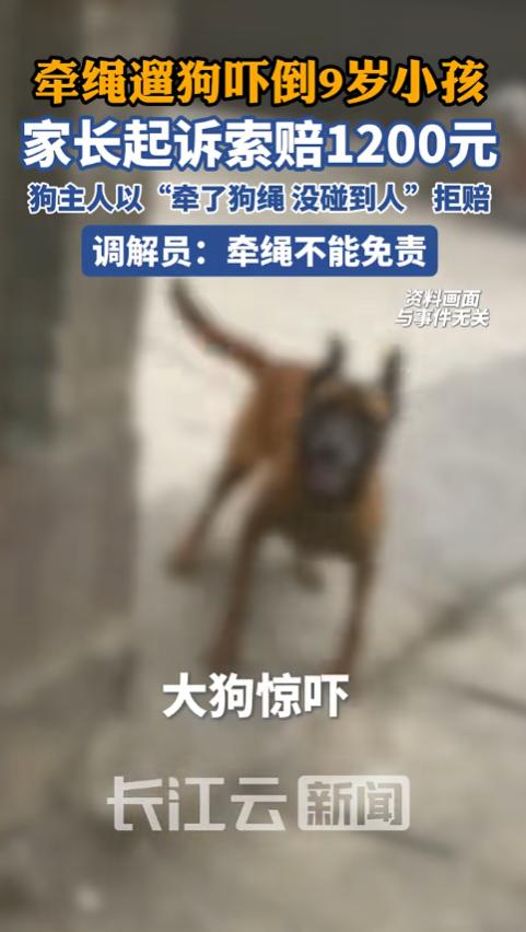 广东，一9岁女孩放学回家，被突然扑来的大狗吓得摔倒，左手腕骨折，家长索赔1200