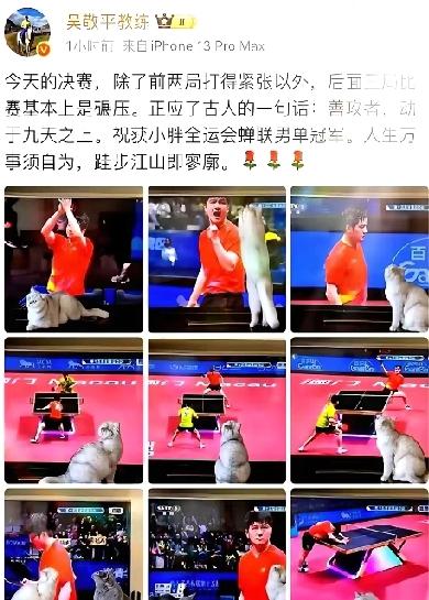 原来“关门弟子”从不是藏私，而是师父倾囊相授后的放手与期许。吴敬平指导在徒弟再登