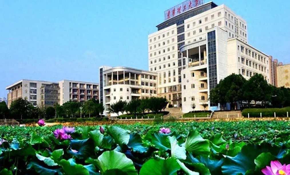 中央把4所源自上海、武汉、赣州、抚州的大学迁至南昌，学生总数超70万，这事儿乍一