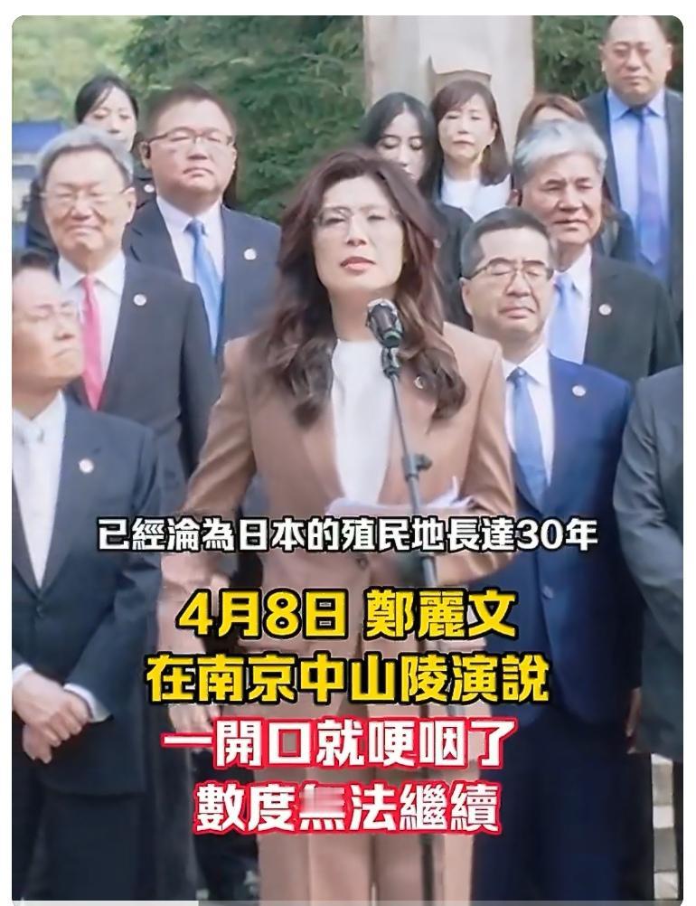 湾湾很多媒体看不惯郑丽文，说她说话嗓门高、调门高，只会说空话、唱赞歌，根本就不是