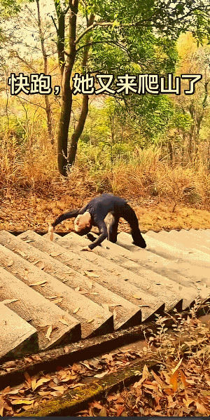 原认为是机器狗爬山呢，这么快！谁知是一位女子。正常爬山的人，都有可能爬不到这么
