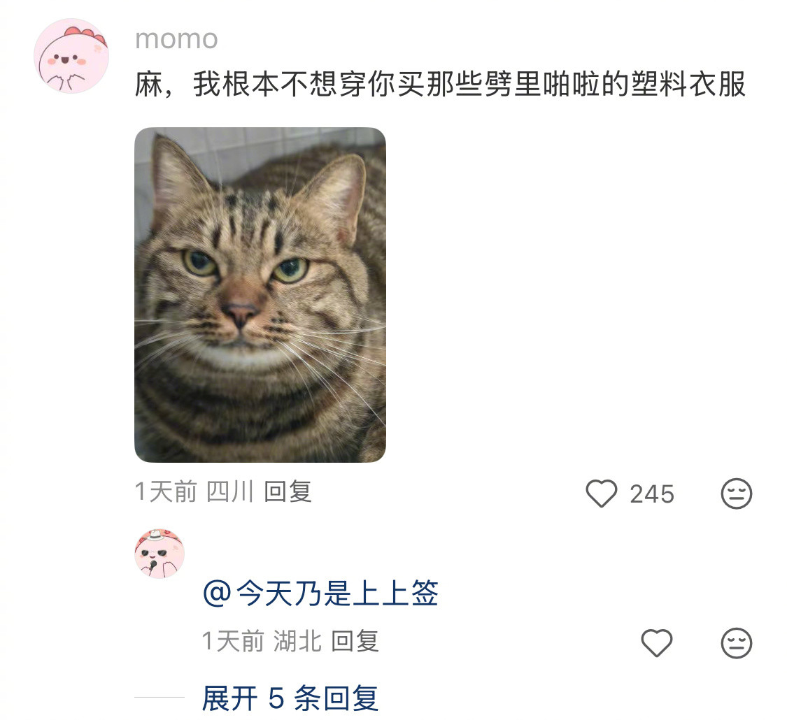 一身聚酯纤维的我，怎么敢碰100%纯毛的你~