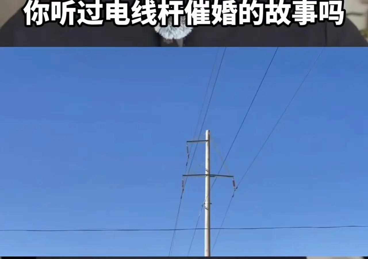这个段子让人笑发财了！你听过电线杆催婚的故事吗？父亲觉得儿子单身的原因是因为家门
