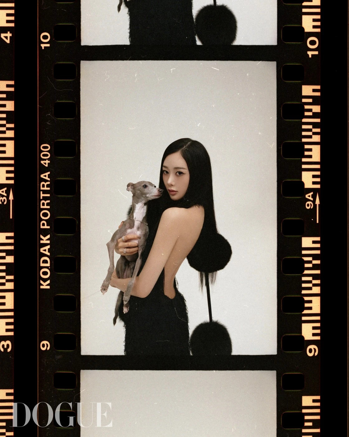 VogueDogueCover🐕📷韩版VOGUE推出以狗狗为主角