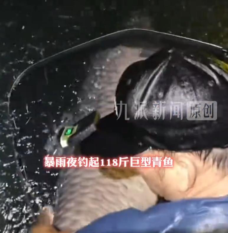 6月24日广西河池，下了一整夜的大雨，不少钓友嫌天气糟早早收竿回家，有着三十年钓