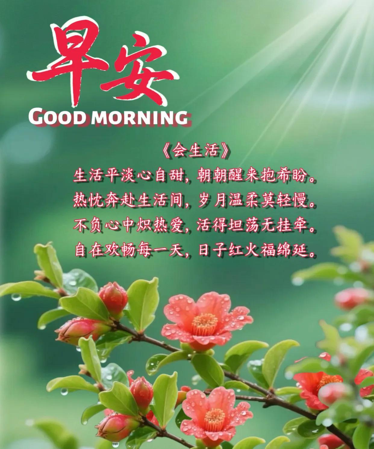 朋友：早安！生活平平淡淡，时光甜在心间。新的一天，愿你我满怀希望，不负岁月温柔