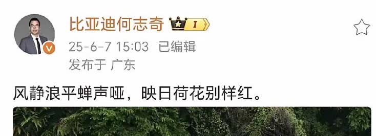 比亚迪副总裁何总疑似回应吉利高管杨学良汽车以卷为荣言论现在汽车市场确实已