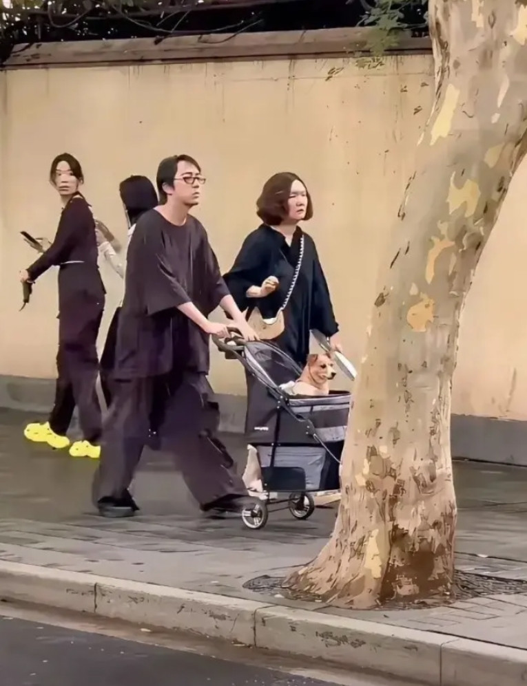 他们是怎么做到一本正经的啊？