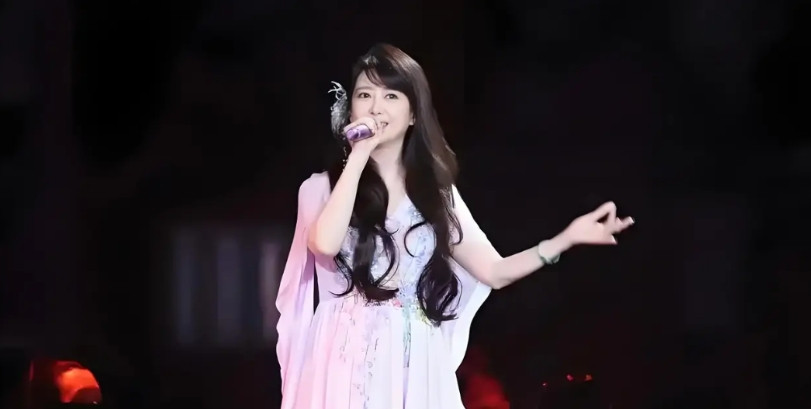 突然对孟庭苇的演唱会感到失望。一直喜欢孟庭苇的歌曲，也盼着有朝一日能有机会去她