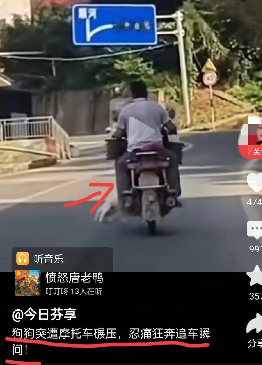 极端宠物保护者无一正常人如下图例，从下图的视频截图中明显可见，此事件是“宠物