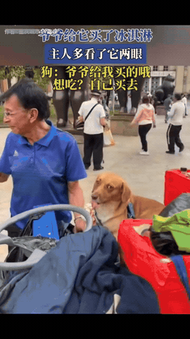 隔辈亲！爷爷带狗狗上街，只给狗狗买了一根冰淇淋，就因主人多看了它两眼，狗狗就敢呲