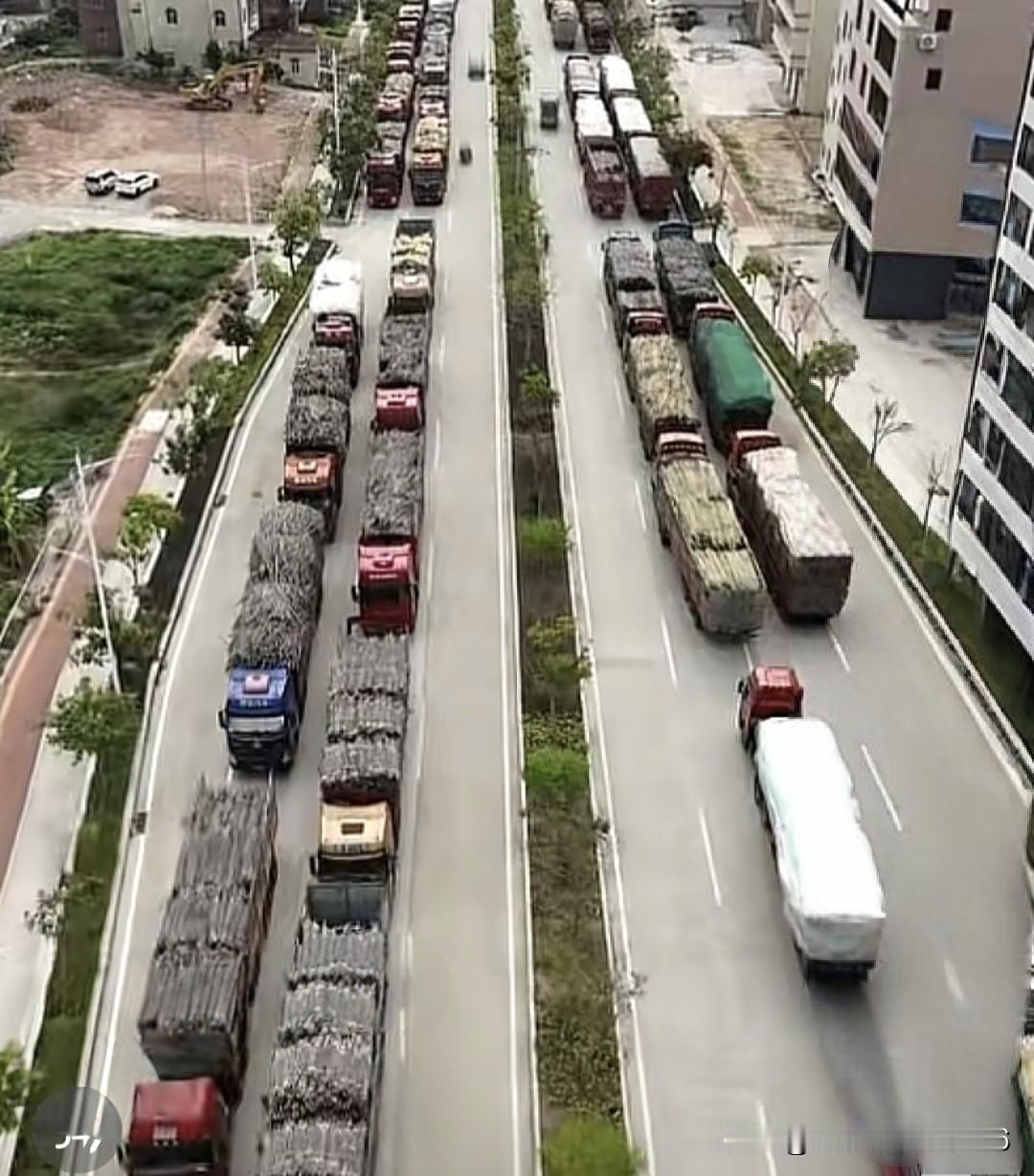 近期火出圈的化州耀明糖厂，前身为化州国营糖厂，1971年创办，1972年投产，当