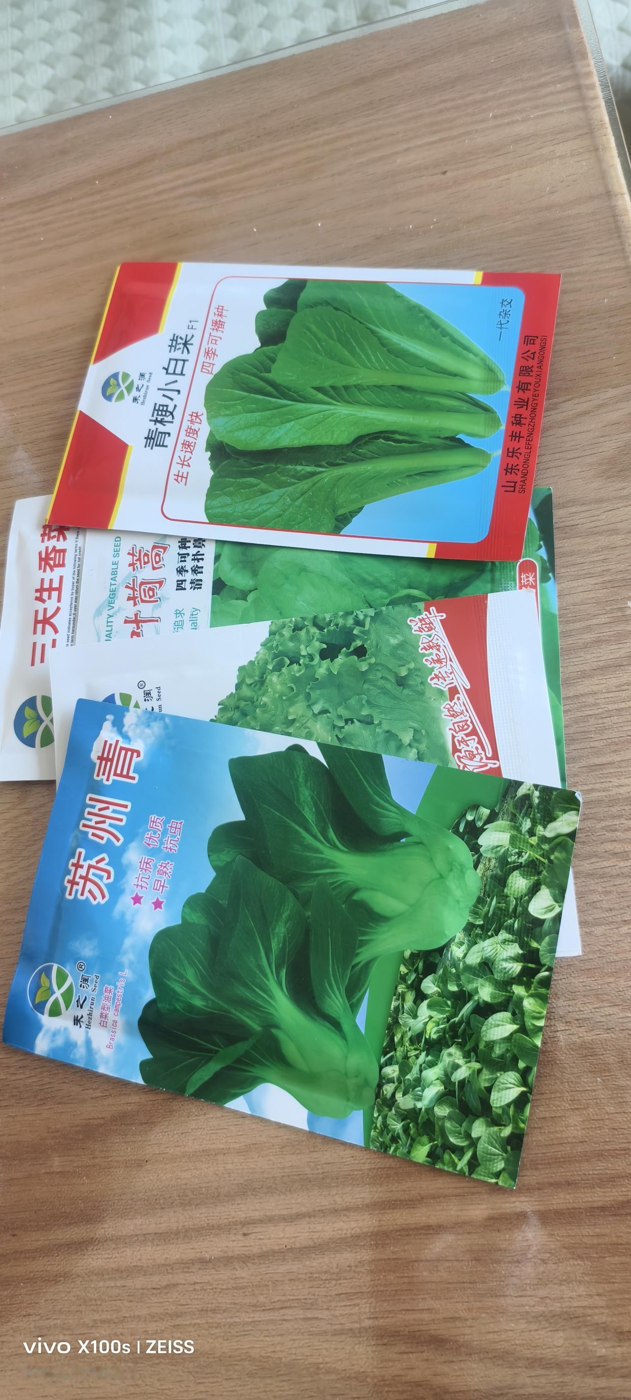 昨天，老公带回几包菜粒，说是婆婆买给我种的，这让我颇为惊讶！前段时间，婆婆还发