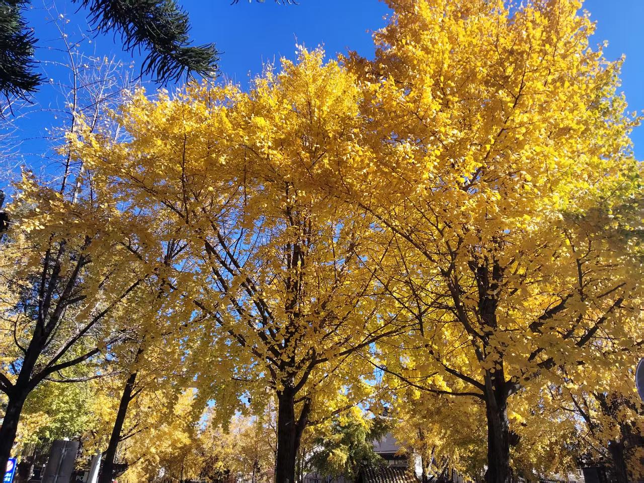 这个元旦遇到了一件让我尴尬得不能再尴尬的事，也给我深深地上了一课，关系不够铁就不