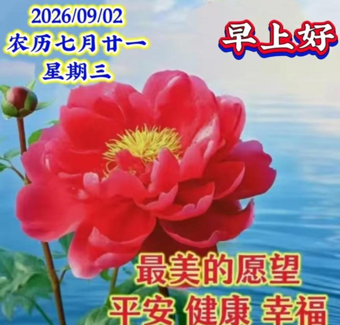 美好的清晨，满满的牵挂；不变的问候，真心的祝福；愿你万事顺，健康到永久；幸