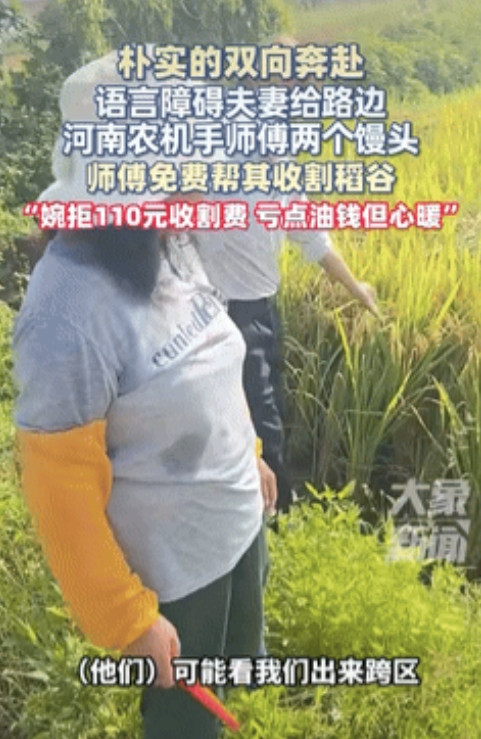 鼻子酸了！”广东，一河南农机手给人割稻子，不料路边一对夫妻打手势让他休息一下，还