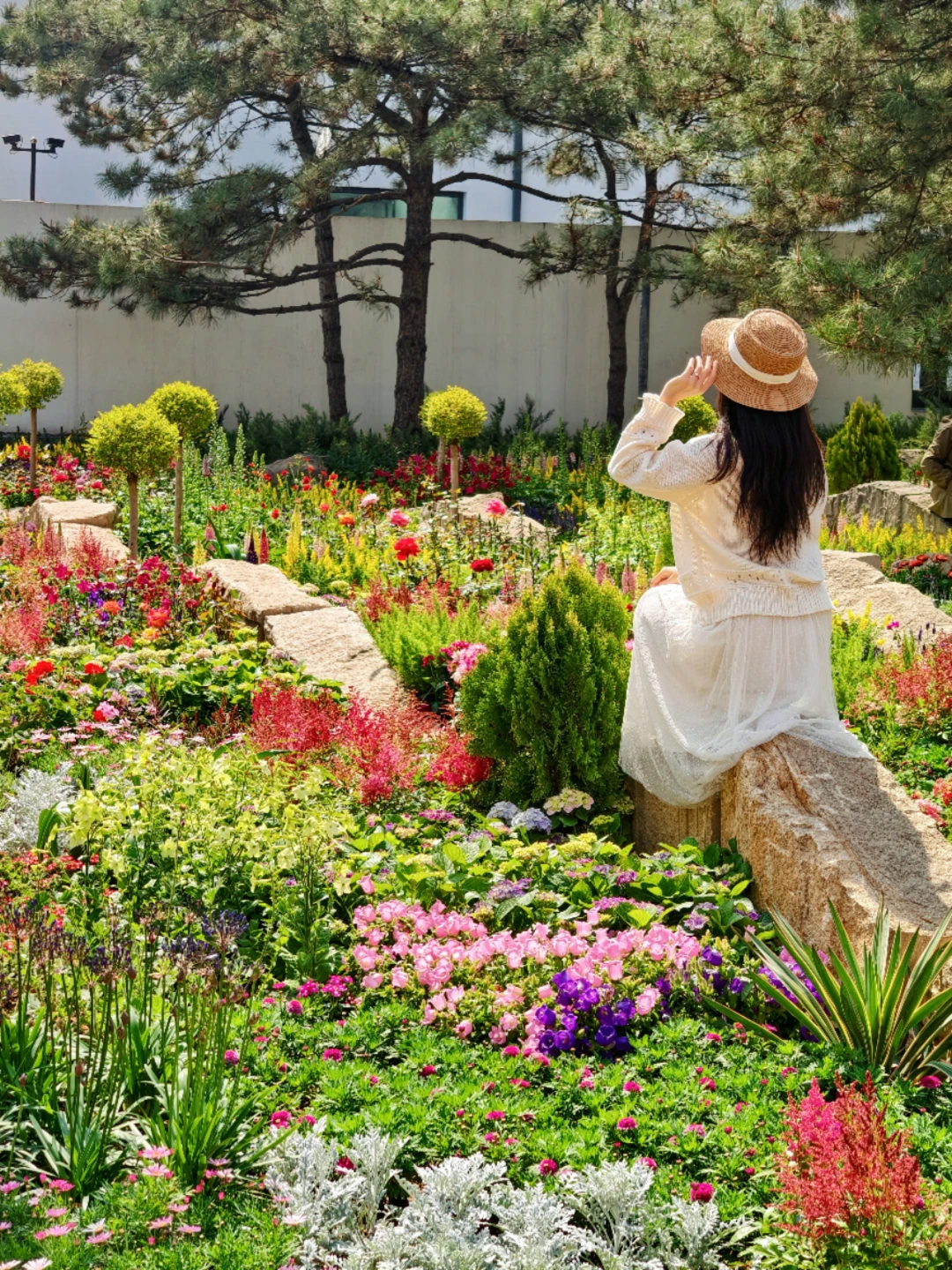 4.2实拍🌸北京赏花顶流！莫奈花园美爆了