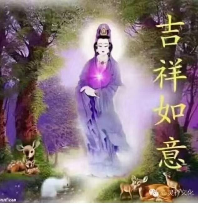祝願見者：時來運轉，越來越好，吉祥順意，財源滾滾，一順百順，八方來財，