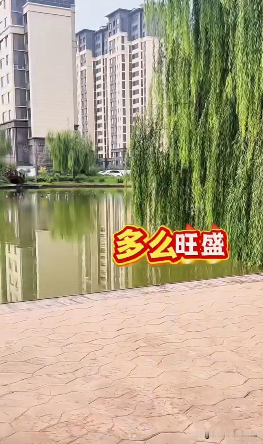 单价一千多买电梯小洋房还是三室两厅两卫？小区环境相当不错户型也不错，是全明