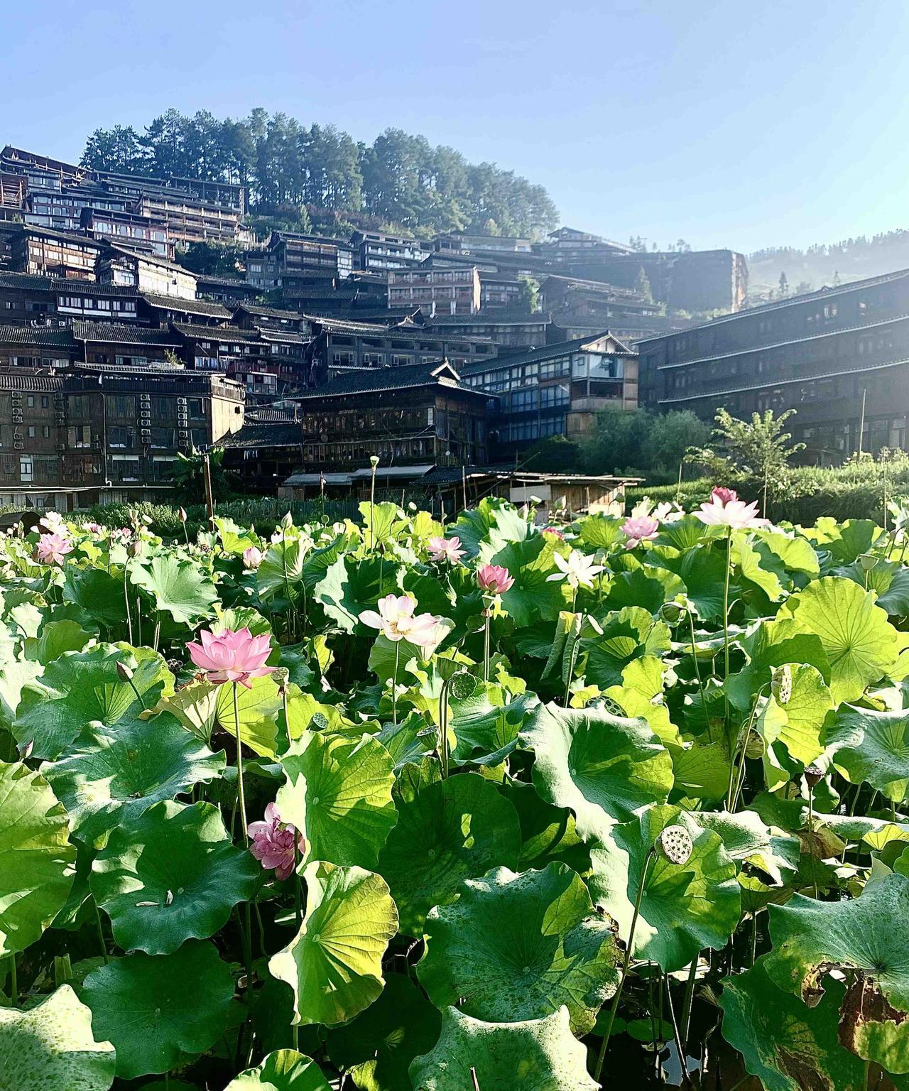 近日广西防城港“奔驰女司机亮证”事件引起全国大讨论。特别是8月3日防城港市委市