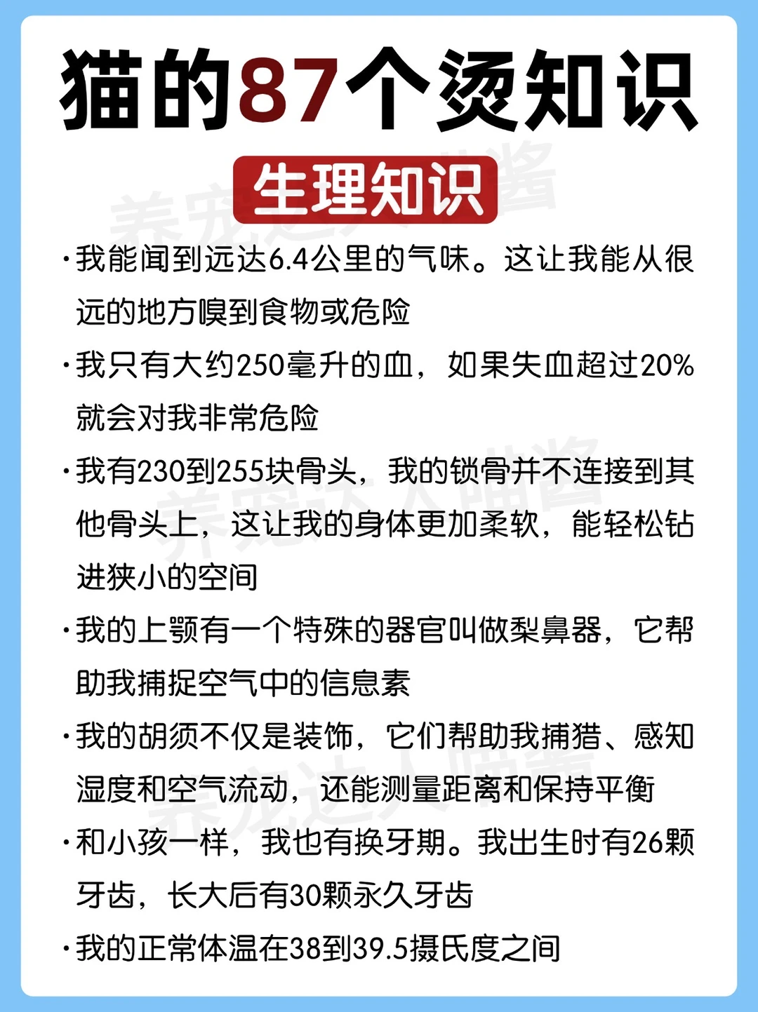 猫的87个烫知识、你一定要知道