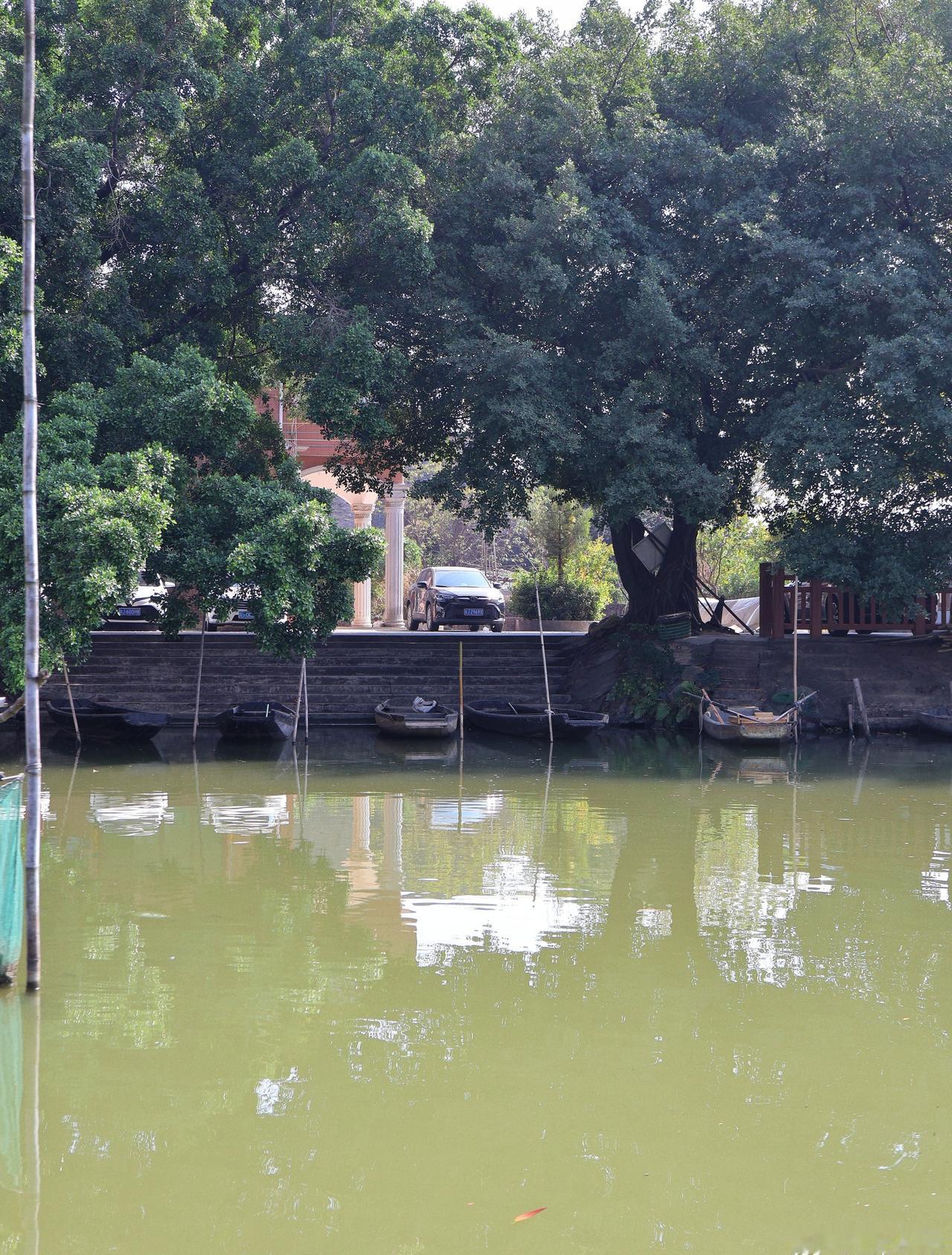田心森林公园｜中山免费天然氧吧，徒步吸氧超zhi愈中山五桂山宝藏田心森林公园