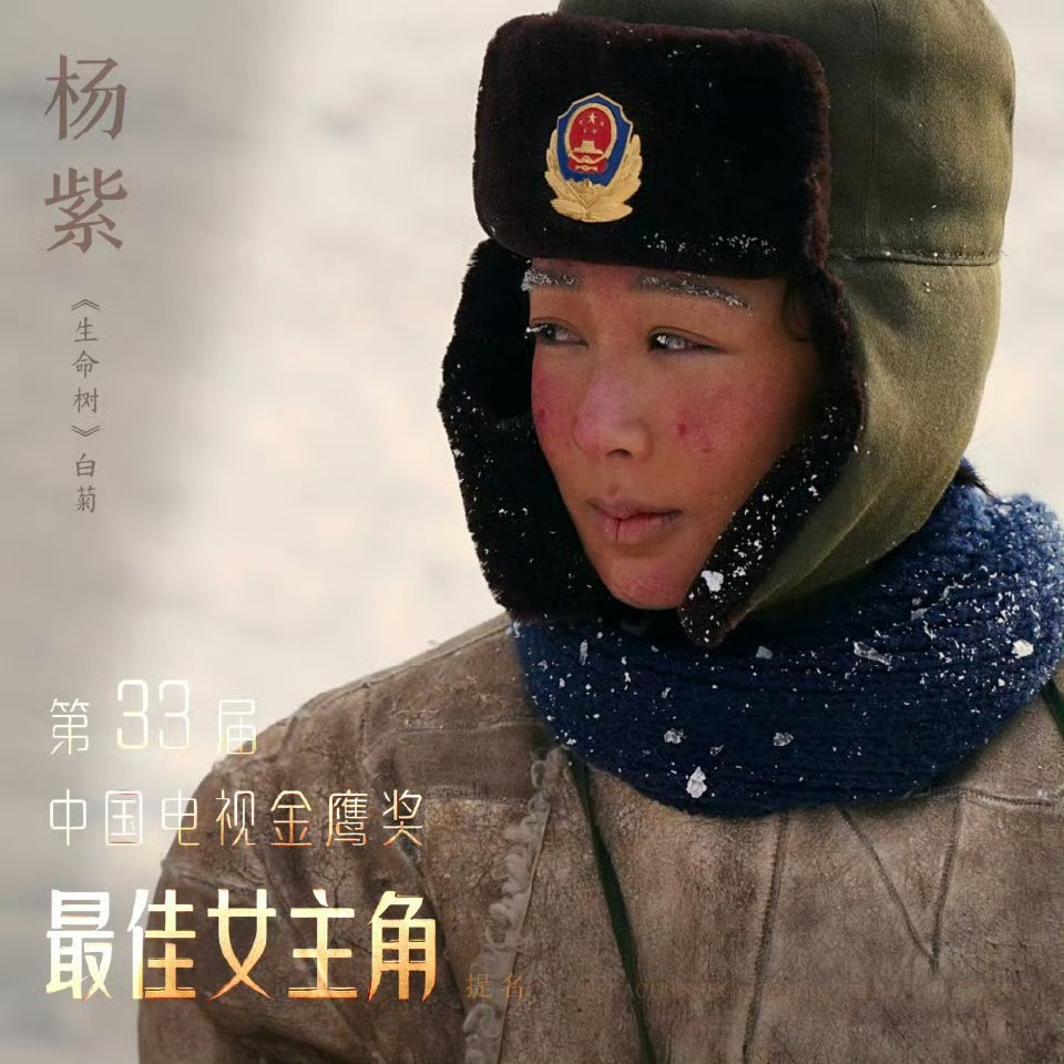 一份"网传获奖名单"，把第33届金鹰奖提前送上了热搜。名单说得有鼻子有眼：杨紫凭
