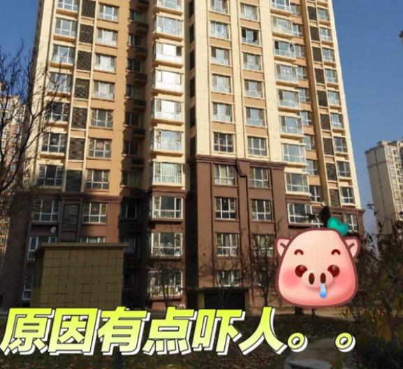 第一次买房，图便宜选了2楼，结果下水道反水三次，家里臭得没法待；第二次买房，听销