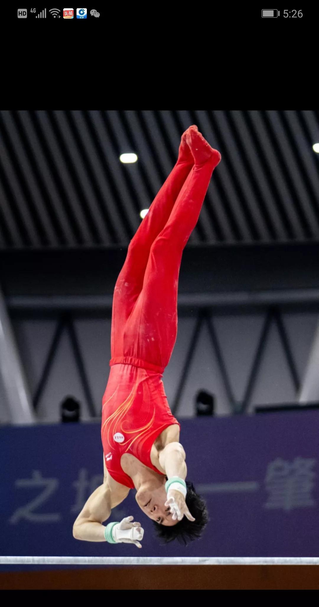 全运会男子体操单项决赛结束了。跳马，浙江，陈忆路自由体操，贵州，陈治龙双杠