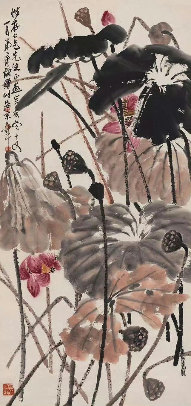 齐白石的秋荷是老顽童藏在墨里的倔强🌿你看白石老人画秋荷哪有半分萧瑟
