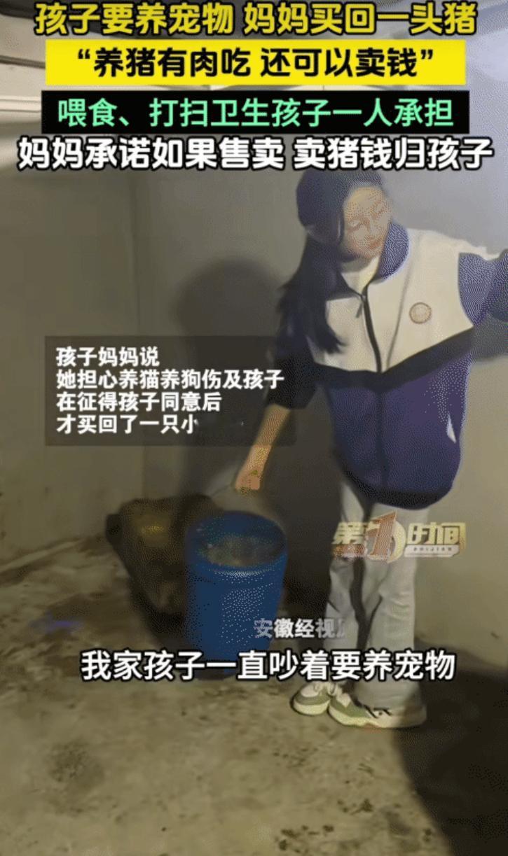 “太有经济头脑了！”贵州平塘，孩子要养宠物。没想到，妈妈买回一头猪让孩子养。妈妈