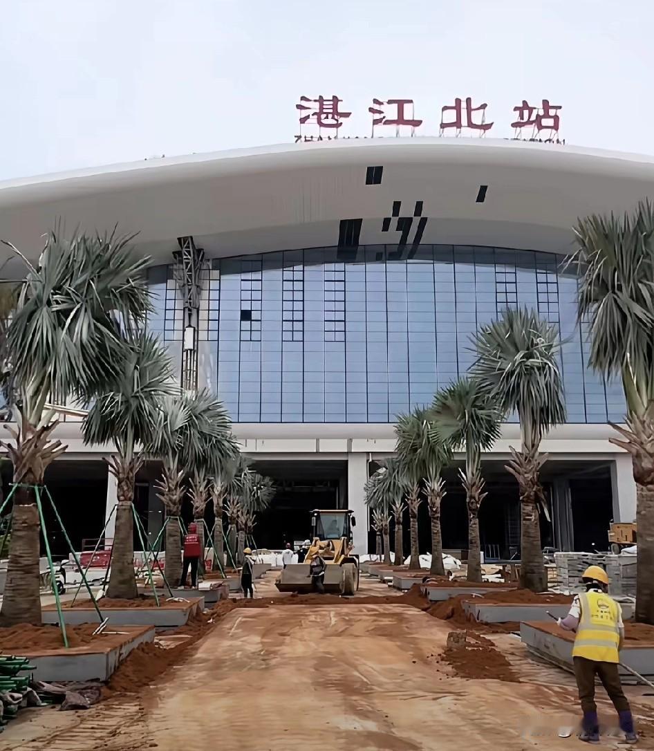 随着广湛高铁湛江北站主体建筑工程进入收尾阶段,相关区域的绿化工作已经展开,种植符