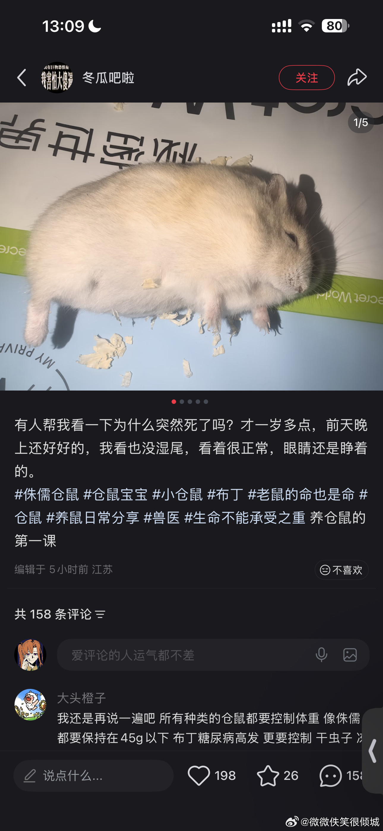 死的好可爱​​​