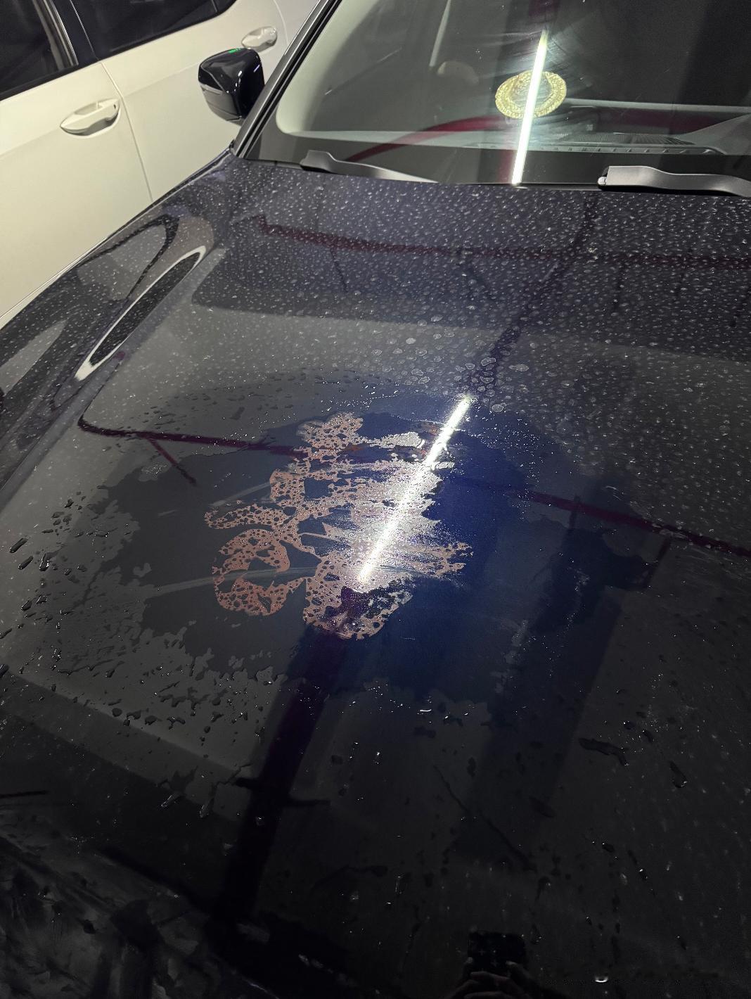 天塌了！婚车贴纸撕不掉了！！！