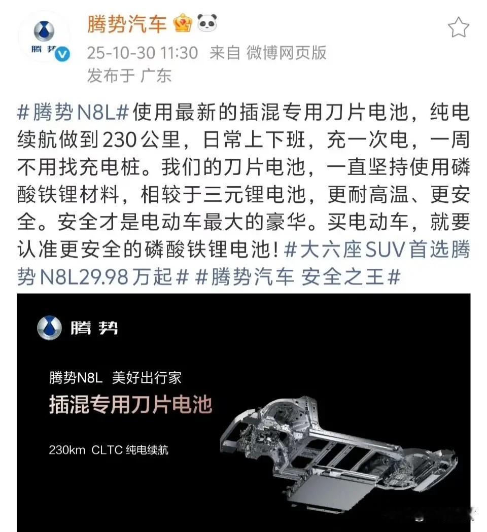 比亚迪这次是彻底不藏着掖着了！旗下腾势直接明牌，放话“磷酸铁锂电池就是比三元锂电