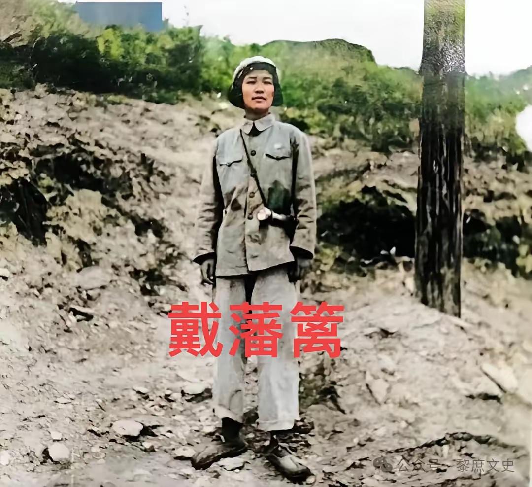 戴藩篱，戴安澜将军之女。十七岁瞒母参军，携父遗笔赴朝作战。在零下三十度的。在零下