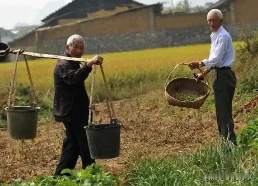 宪法规定人人平等，农民完全有争取养老金的权利，很多良心专家在网上发声为农民争取养