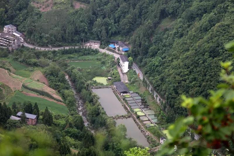 乡村振兴已经提了好多年，但乡村还是没有多大的变化，年轻人该到城里打工还是去打工，