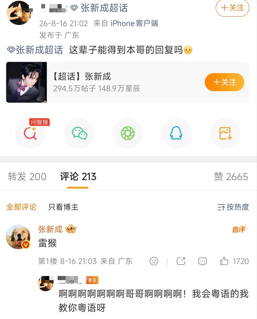 丁禹兮《我怕有刺的鱼》张新成《雷猴》
