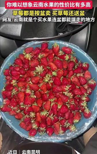 这个用盆装着卖的草莓是在昆明哪里卖的？我怎么从来就没有见到过。听说30元就可以