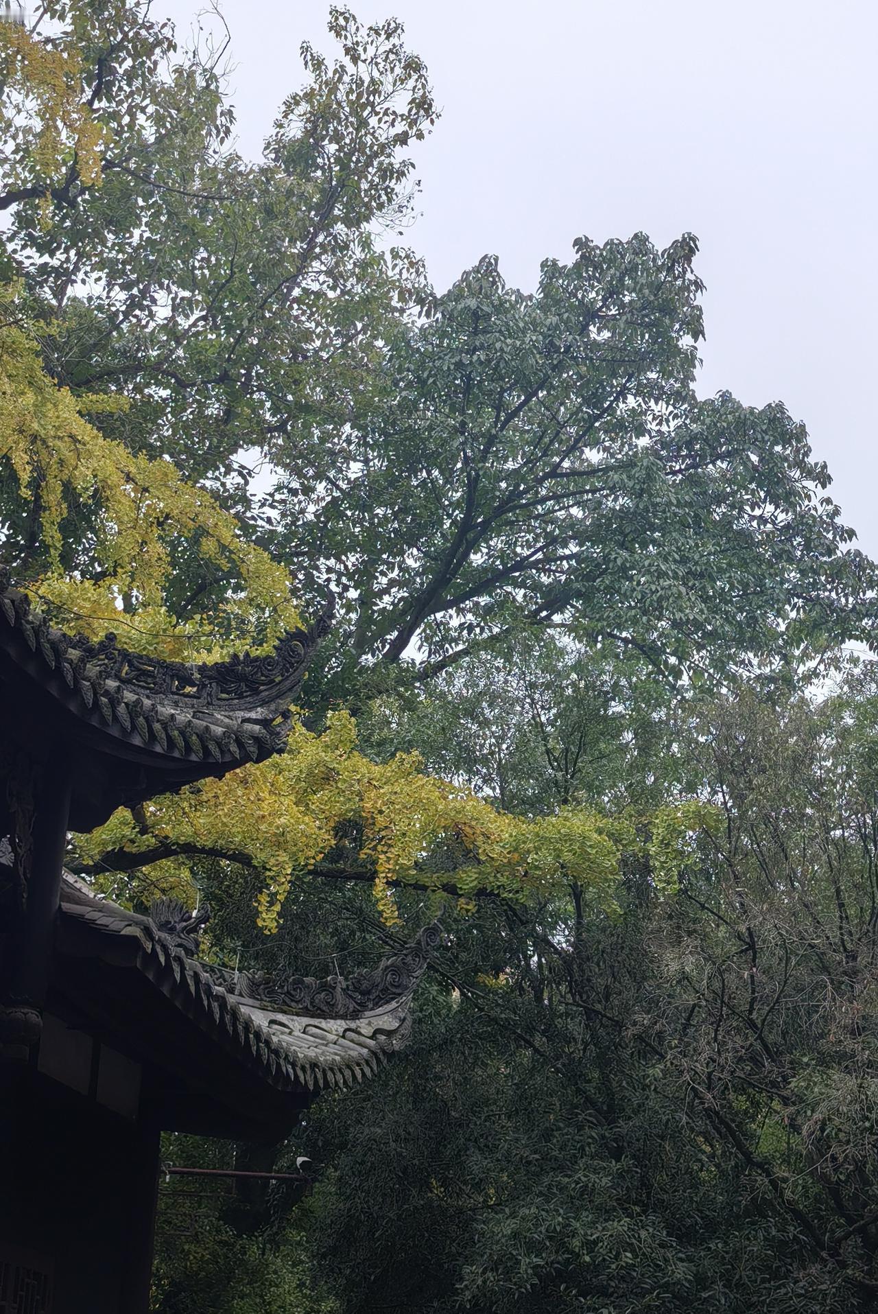 现在看来，明朝的历史是满清修改的，尤其是关于科技文化这些积极方面。满清本来不想问