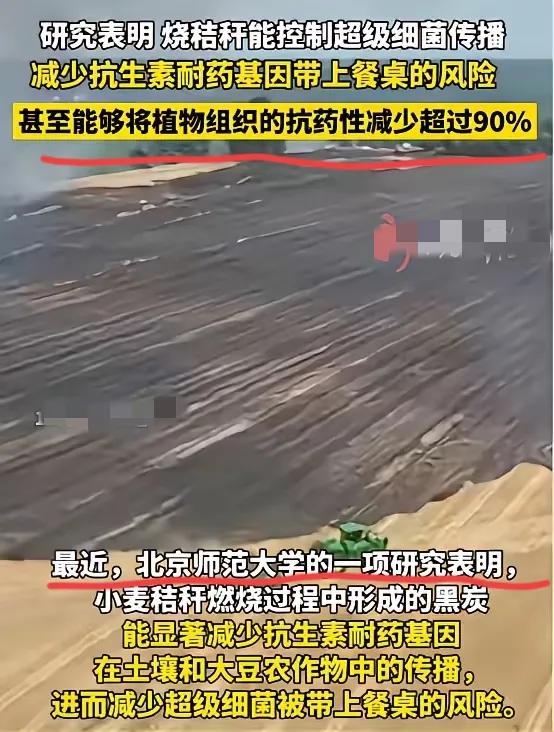 过去被骂“制造雾霾”、农民烧了就挨罚的秸秆，如今竟是藏着多重惊喜的“生态宝贝