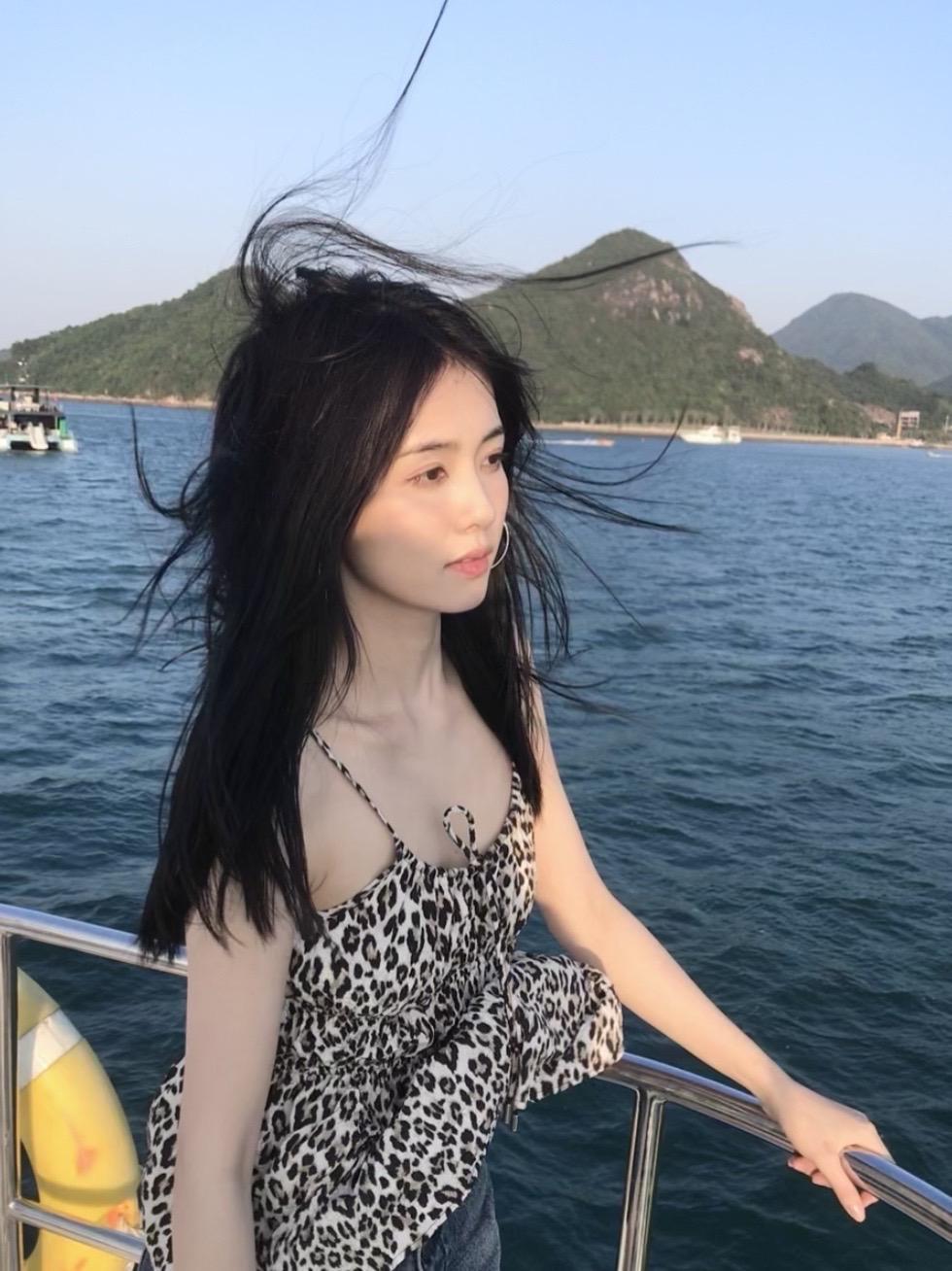 看日落 白鹿