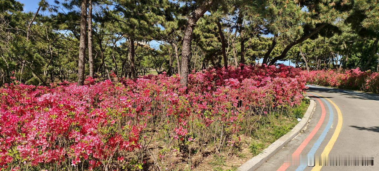 干了15年，跌跌撞撞才明白的8个职场真相我有个老领导，干活拼命那种。有次孩