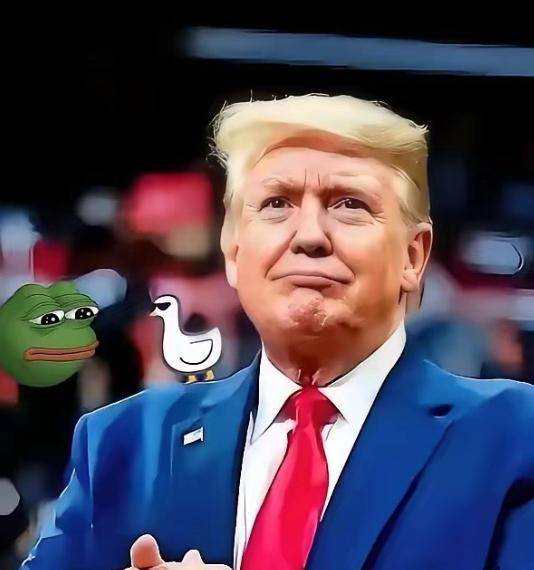 2026年元旦之际，美国突然向联合国转账了20亿美元，这个常年霸占联合国欠费榜单