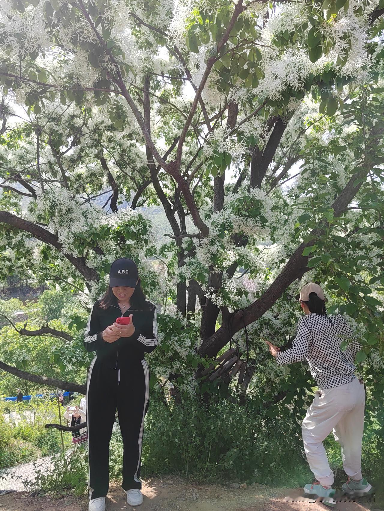 退休后，我却突然有了深深的危机感。一是存不了钱了。以前上班，一个月2000多